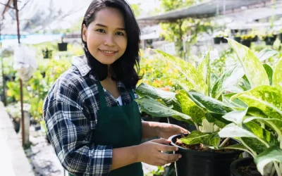 Cum să angajezi rapid muncitori din Asia pentru afacerea ta