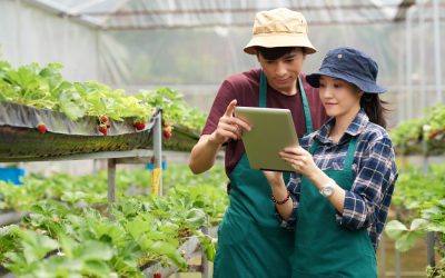 Recrutare Muncitori Asiatici pentru Sectorul Agroalimentar: Avantaje și Provocări